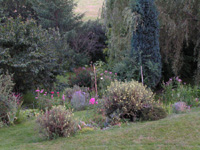 Cliquer pour agrandir